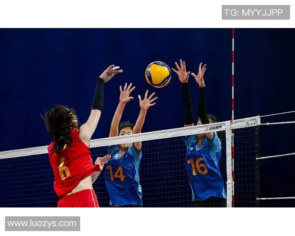 上海排球队意识变革引发热议助力球队新征程
